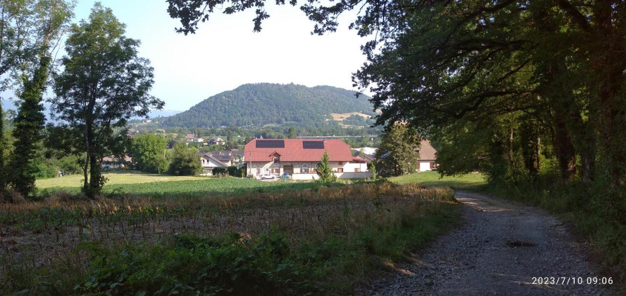 Gite De Cret Vial Alby-sur-Cheran Zewnętrze zdjęcie